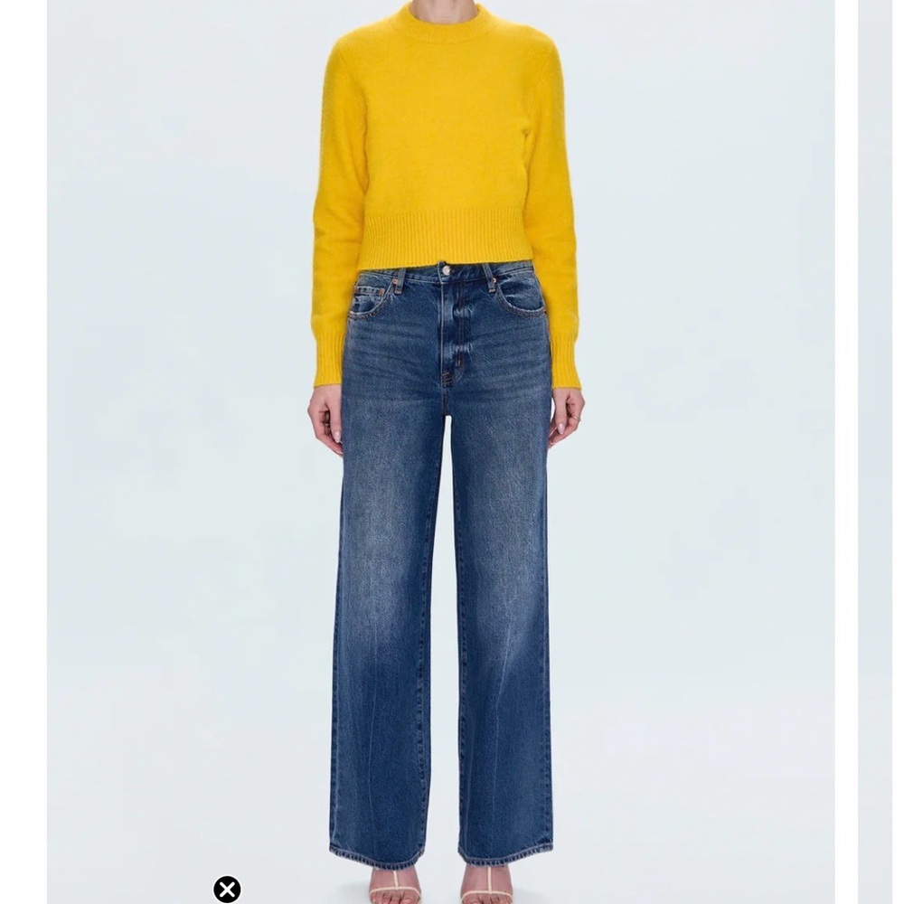 NWT Pistola Hendrix High Rise Baggy